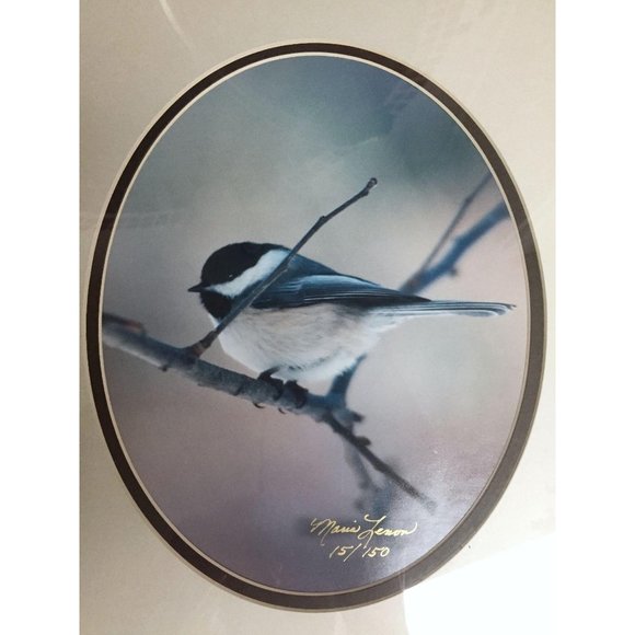 Black Capped Chicadee Photograph Framed Signed Numbered Bird Maria Lenon Art - Picture 3 of 9